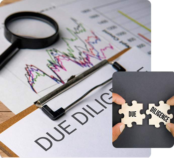 Due Diligence Services