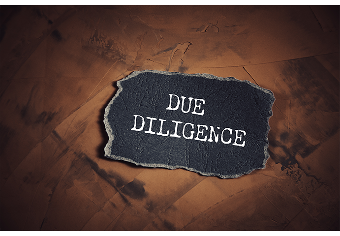 Due Diligence Service